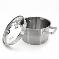 Кастрюля Lessner D=22см 4,2л [55886-22]
